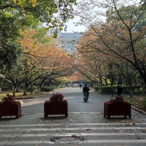 下雨了是我在想你于2022-11-11 13:55发布的图片