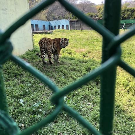 wywj0809于2022-04-08 16:09发布的图片