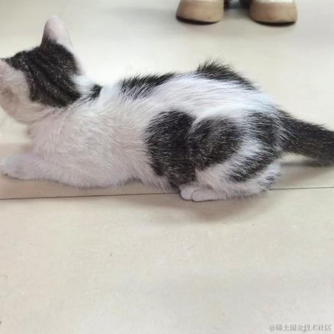 开开多喝水于2022-12-02 18:05发布的图片