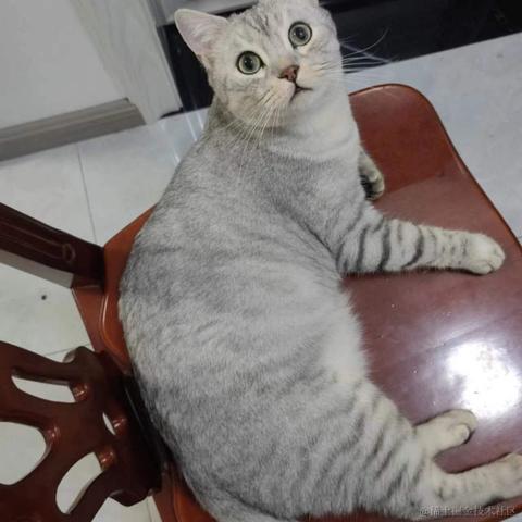 快乐摸鱼一天又一天于2022-11-16 15:41发布的图片