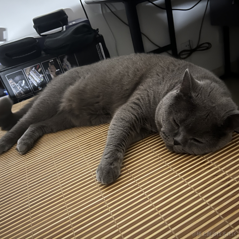 bellaQAQ于2023-07-03 09:45发布的图片