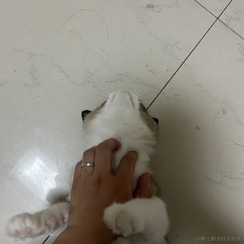 慢慢爬的蜗牛于2023-05-17 20:18发布的图片