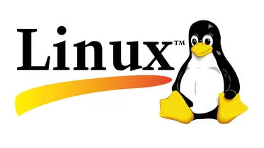 学会shell 基本语法 玩转linux 掘金