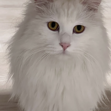 kk有志向于2022-11-23 00:19发布的图片