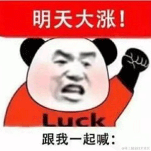 头脑发热于2023-08-09 13:45发布的图片