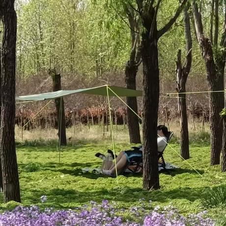 贝拉keria小姐月光加冕于2022-11-28 00:34发布的图片