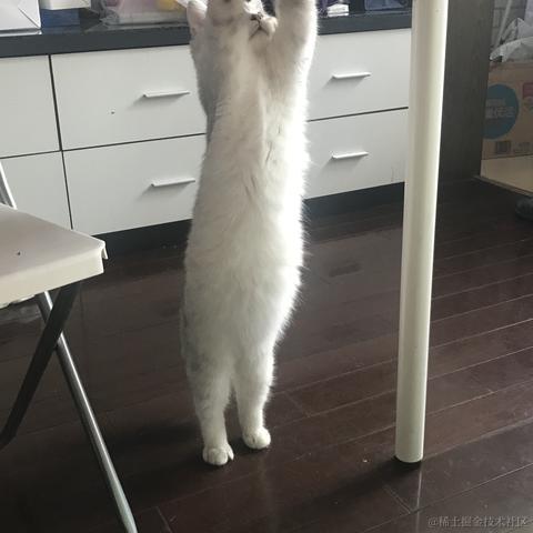 一只小菠萝于2021-10-27 17:20发布的图片