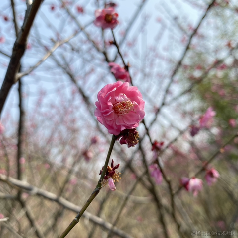 夜果子于2023-03-16 09:34发布的图片