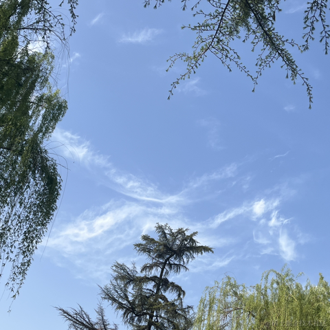 Simple_and_fond于2023-04-10 08:59发布的图片