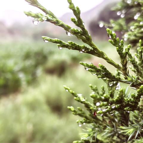 马农可夫于2022-07-22 07:35发布的图片