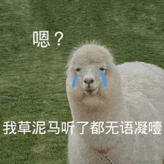 01EF8823.gif