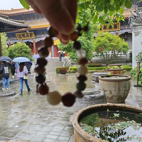 fighter_于2023-05-15 18:30发布的图片