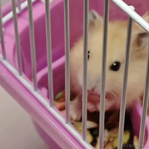 五弦奏南风于2023-03-11 10:08发布的图片