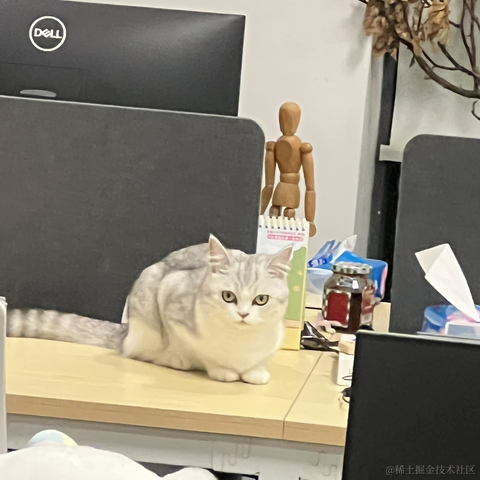 晚比大魔王于2022-11-16 10:22发布的图片