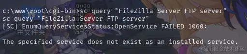 查询ftp服务失败.png