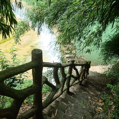 不是猪猪于2023-06-30 12:03发布的图片