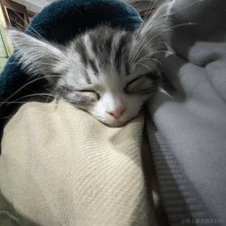 大肥咕于2022-12-08 07:47发布的图片