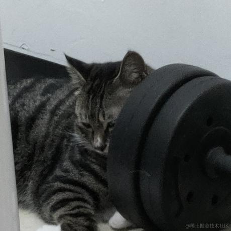 贝拉害我的口气于2023-06-25 00:11发布的图片