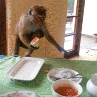 小时候不要丢下我于2023-07-05 20:47发布的图片