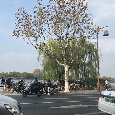 旺旺99于2022-11-26 19:18发布的图片