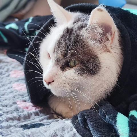 武师叔于2022-12-31 11:13发布的图片