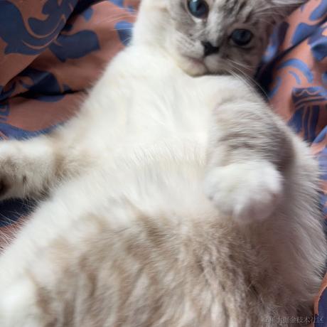 llight于2023-04-12 21:46发布的图片