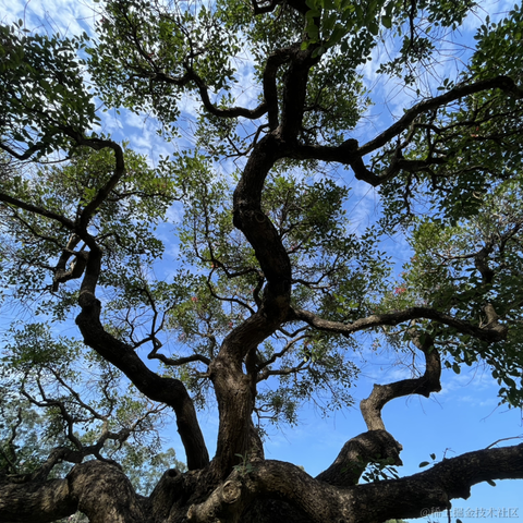 神奇的程序员于2021-11-27 14:14发布的图片