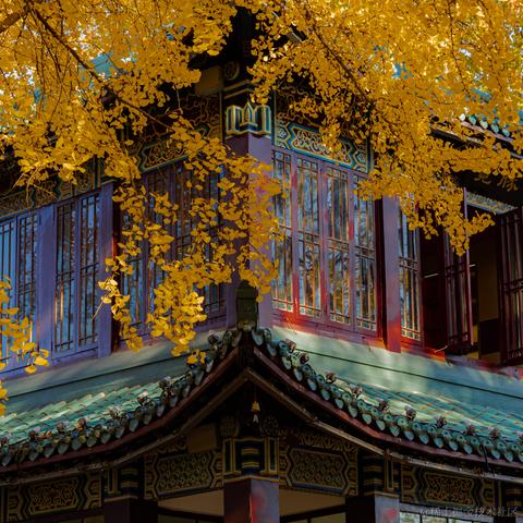 吾与徐公孰美耶于2023-12-04 15:13发布的图片