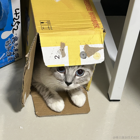 llight于2023-04-23 22:10发布的图片