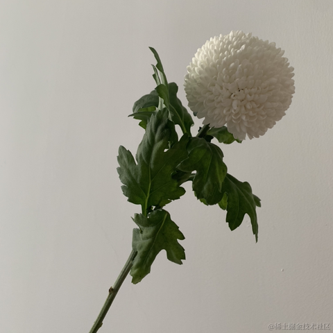 claudia_599于2021-02-27 19:06发布的图片