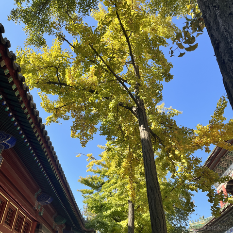 puppyyy于2023-03-16 07:46发布的图片