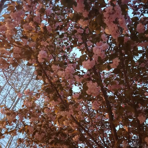 不可思于2023-04-01 13:19发布的图片