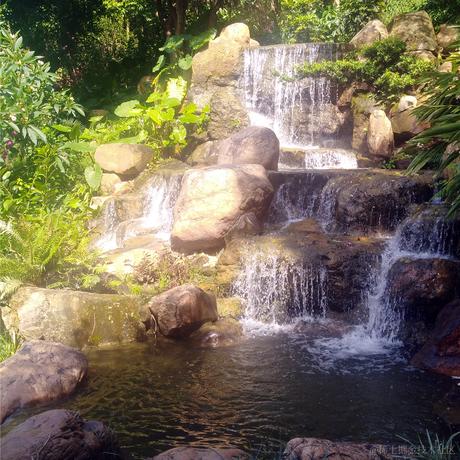 大鹏鹏于2022-12-14 20:06发布的图片