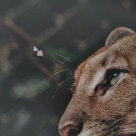 早濑真爱于2022-11-15 10:07发布的图片