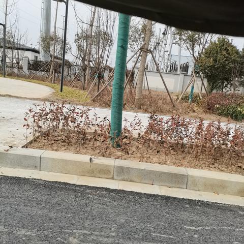 魈的身高于2023-01-25 12:19发布的图片