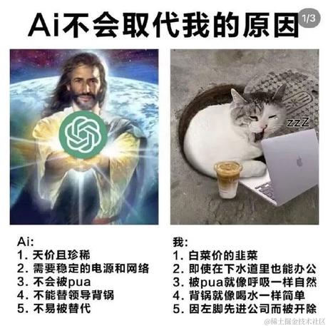 油壶于2023-02-17 09:32发布的图片