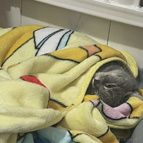 金豆爱跑步于2022-11-30 11:55发布的图片