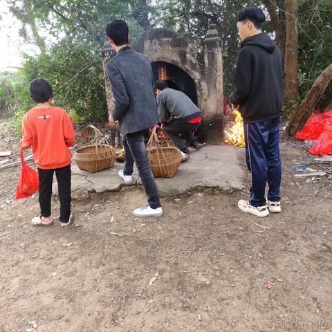 程序员萌芽于2023-01-21 12:54发布的图片