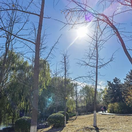 好耶仔仔棒于2022-11-18 09:25发布的图片