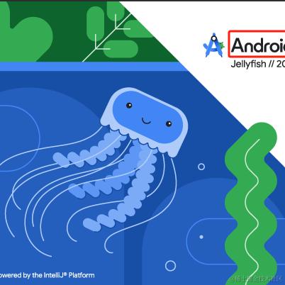 AndroidBaby于2024-06-28 16:23发布的图片
