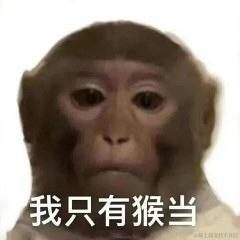 芝士面包于2023-04-12 20:54发布的图片