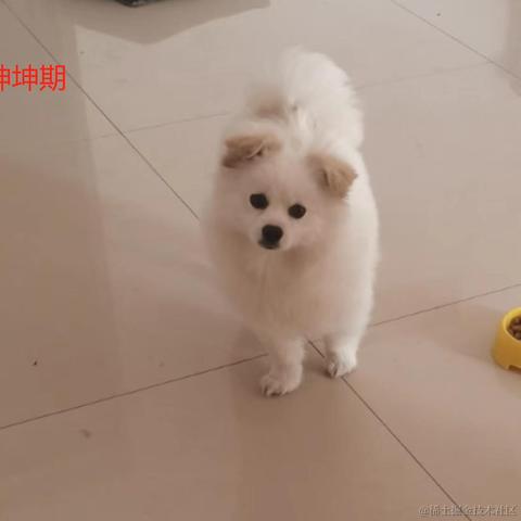抓哇练习生于2023-05-25 15:54发布的图片
