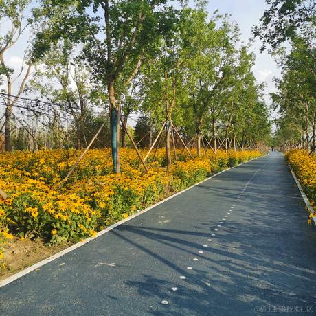 阿伟9527于2022-07-03 13:14发布的图片