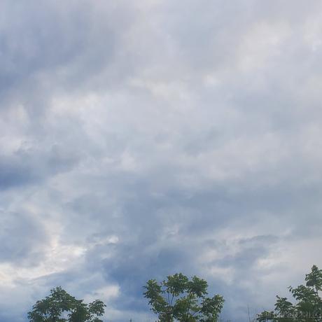 向晚今天吃顶碗人于2023-07-02 23:33发布的图片