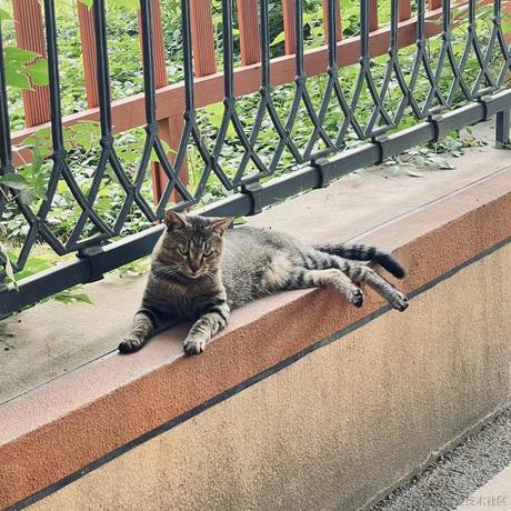 晚比的水母于2022-11-12 10:25发布的图片