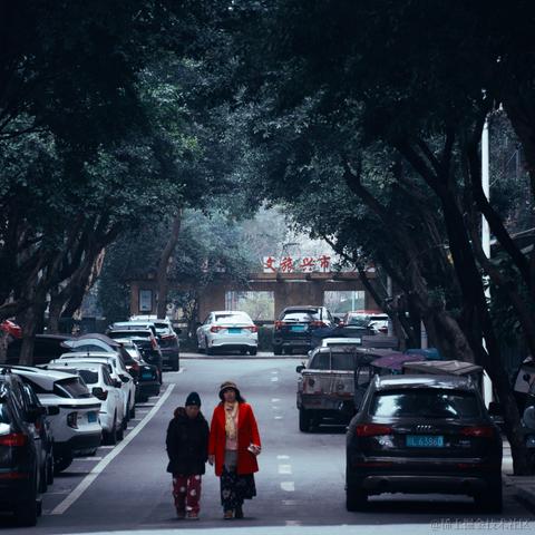 sakana于2024-04-28 14:38发布的图片