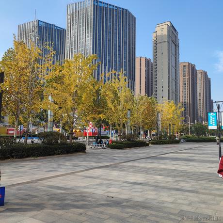 那微笑的眼睛于2022-11-14 09:41发布的图片