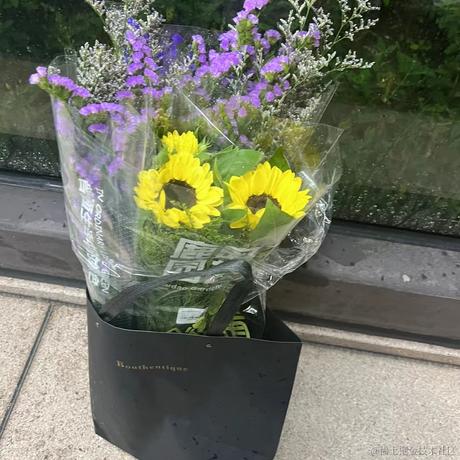 贝拉拉贝拉贝于2023-06-24 14:39发布的图片