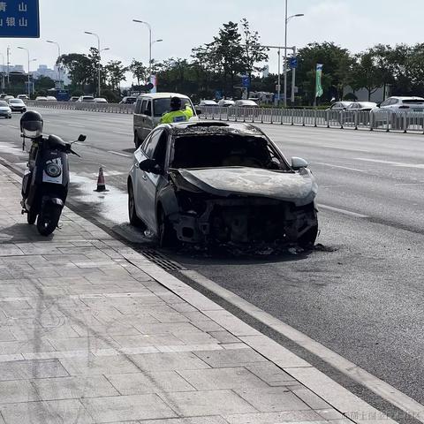 岛城咸鱼于2024-06-21 09:16发布的图片