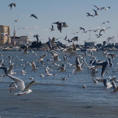 你好我就要起飞了于2022-12-24 08:53发布的图片